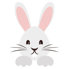 Coniglio dal buffo muso