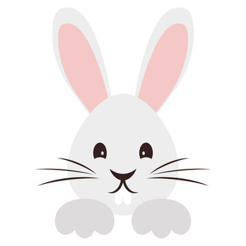 Coniglio dal buffo muso