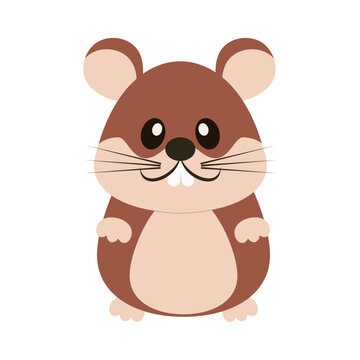 Criceto dagli occhi dolci