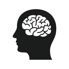 Human head with visible brain silhouette, mind and intelligence concept, cognitive process icon