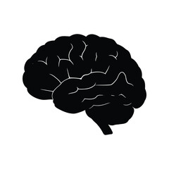 Anatomical human brain silhouette, symbol of mind, intelligence, and cognitive function
