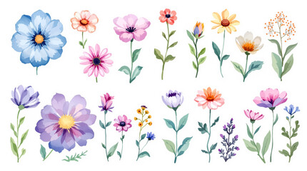 Spring watercolor flowers vector illustration, Colorful spring flowers, Set of watercolor flowers, Clipart watercolor flowers	