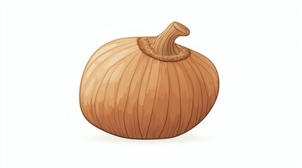 Detailed illustration of a whole onion.