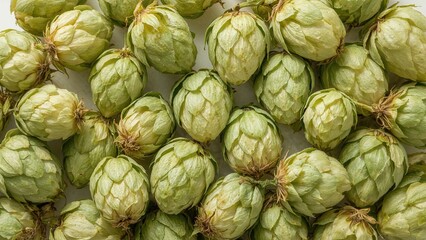 Obraz premium Hop cones displayed against a white background. Elements for beer production. Concept of beer brewing. Background themed around beer. Top-down view