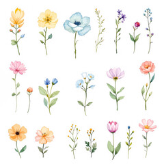 Seamless pink floral pattern with roses tulips and leaves for spring and summer garden design