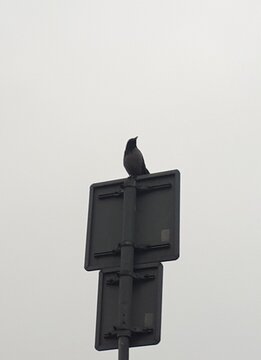 INVERSE TRAFFIC SIGNAL 