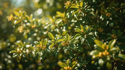 Leaves decorated with petite cheerful yellow flowers
