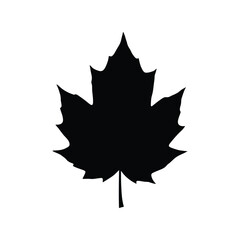 Maple leaf silhouette icon vector. Canadian nature, autumn, fall season, forest, and plant symbol graphic.