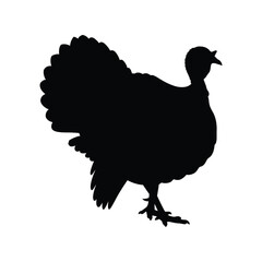 Thanksgiving turkey silhouette, poultry bird, farm animal, and holiday symbol