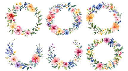 set of colorful floral elements