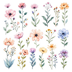 Set of watercolor flower illustration. Use by fabric, fashion, wedding invitation, template, poster, romance, greeting, spring, bouquet, pattern, decoration and textile