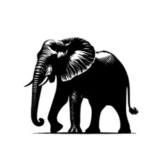 Royal Elephant Vector – Graceful Wildlife Animal Graphic Illustration
