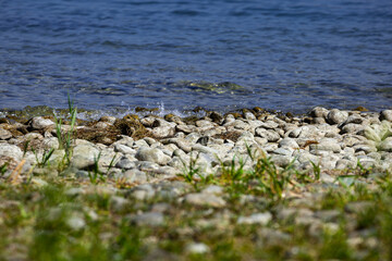 Close-up view of a stony shoreline with gentle waves of Lake Constance in Kreuzlingen, Switzerland, during a sunny summer day. The foreground is covered with smooth rocks and some green grass, while t