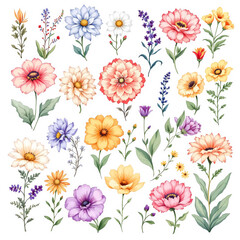 flower, floral, pattern, seamless, spring, vector, nature, flowers, pink, illustration, summer, garden, tulip, design, leaf, plant, decoration, flora, bouquet, blossom, poppy, wallpaper, art