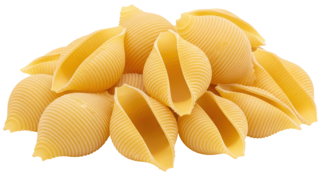 Isolated Pile of Conchiglie Pasta