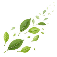 Fototapeta premium Falling green leaves isolated on transparent background create a fresh and natural pattern, perfect for spring and summer designs, botanical illustrations, and organic themed artwork