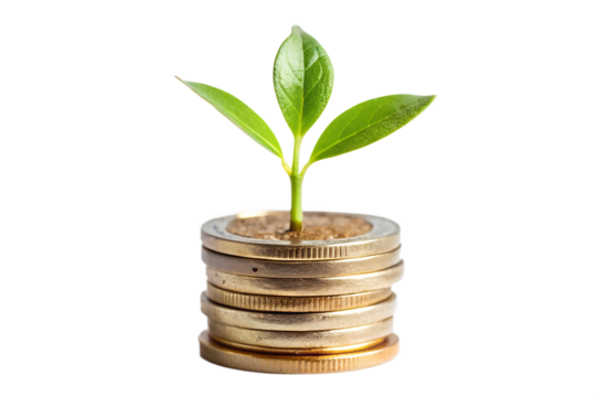 Plant growing from coins on transparent background - Powered by Adobe