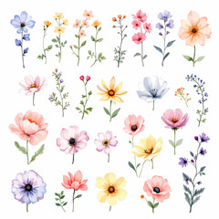 Background with colorful flowers, Set of colorful flowers, Set of watercolor flowers, Clipart watercolor flowers