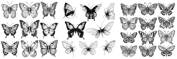 A collection of hand-drawn butterflies in black outline on a white background, showcasing front and side views, ideal for minimalist tattoo designs, greeting cards, or logos, presented in a modern
