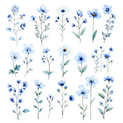 Collection of flowers, Set of watercolor flowers, Clipart watercolor flowers