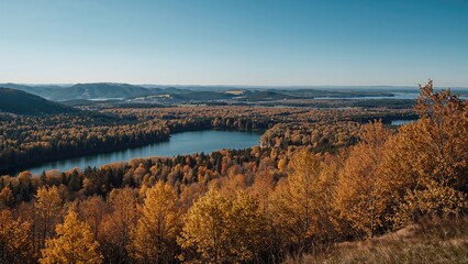 Elevated perspective of a colorful forest and reflective lake during a sunny fall day