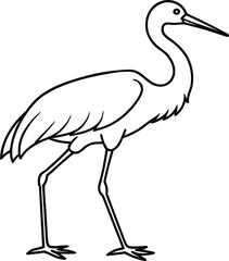 Obraz premium Black and white line art of a stork walking bird outline