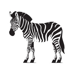 A zebra vector silhouette illustration | Premium Vector design