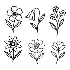 Hand-Drawn Wildflower Doodle Set &ndash; Black and White Line Art