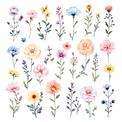 Set watercolor flowers and butterflies, seamless pattern with flowers