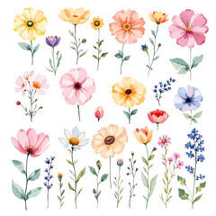 Spring watercolor flowers vector illustration, Colorful spring flowers