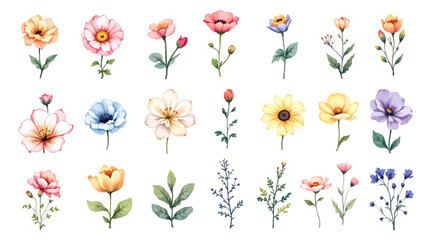 Set of flowers, Set of colorful floral elements