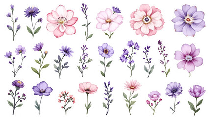 Colorful spring flowers