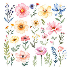 floral background with flowers