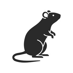 Obraz premium Silhouette of a standing rat on white background