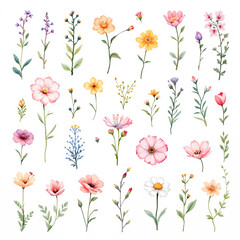 Obraz premium Seamless pattern with flowers, Flower art