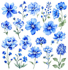 blue flowers background