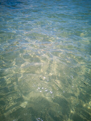 Transparent turquoise sea water with sunlight patterns on sandy bottom. Soft wave ripples and natural light reflections create calming aquatic texture. Selective focus.