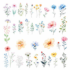 Set of floral elements, Tulips on white background, Bouquet of flowers, Set Flower art