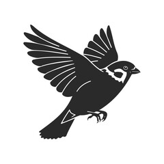 Fototapeta premium Silhouette of a sparrow in flight on white background