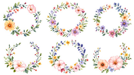 Set of floral elements, Tulips on white background, Bouquet of flowers, Set Flower art