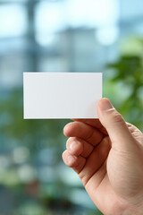 Male hand holding blank business card in bright office with natural green background. Ideal for eco branding mockups. Copy space included.