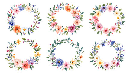 set of colorful floral elements