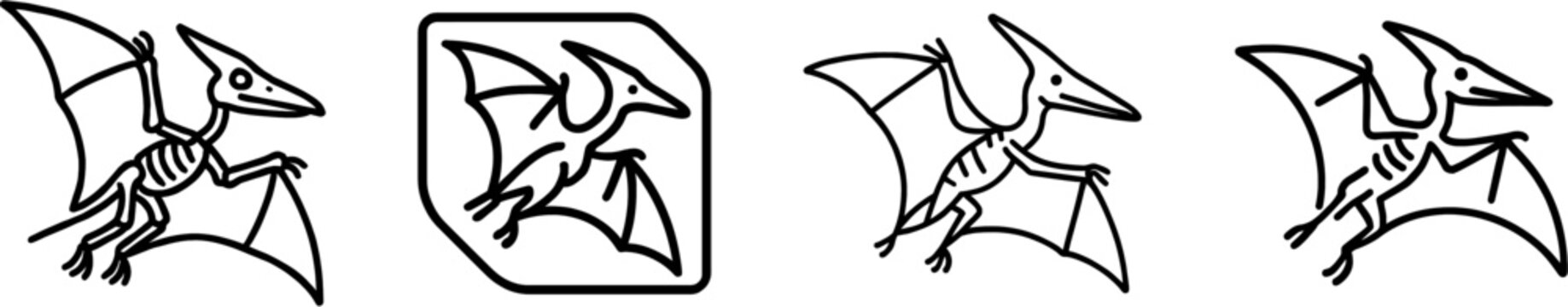 Pterosaur fossil wing membrane outline vector