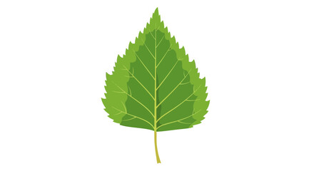 Green Serrated Leaf Vector &ndash; Botanical Nature Illustration with Sharp Edges
