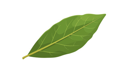 Obraz premium Green Tropical Leaf Vector – Fresh Nature Botanical Illustration 
