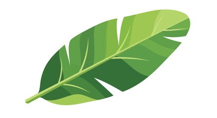 Tropical Banana Leaf Vector &ndash; Flat Botanical Illustration
