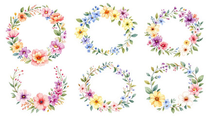 Watercolor summer wreath of wildflowers Botanical colorful illustration