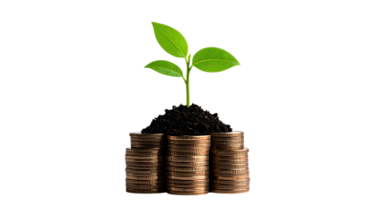 Flourishing plant growing from coins, a symbol of financial growth and investment