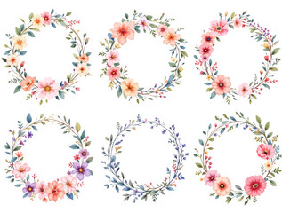 Fototapeta premium Set of floral elements