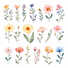 Spring watercolor flowers vector illustration, Colorful spring flowers, Set of watercolor flowers, Clipart watercolor flowers	